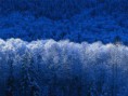 /album/fotogaleria/winter-jpg/
