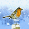 /album/fotogaleria/priloha-obrazok-gif/